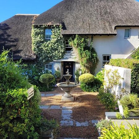 In The Vine Country Manor Guesthouse Stellenbosch Exterior foto