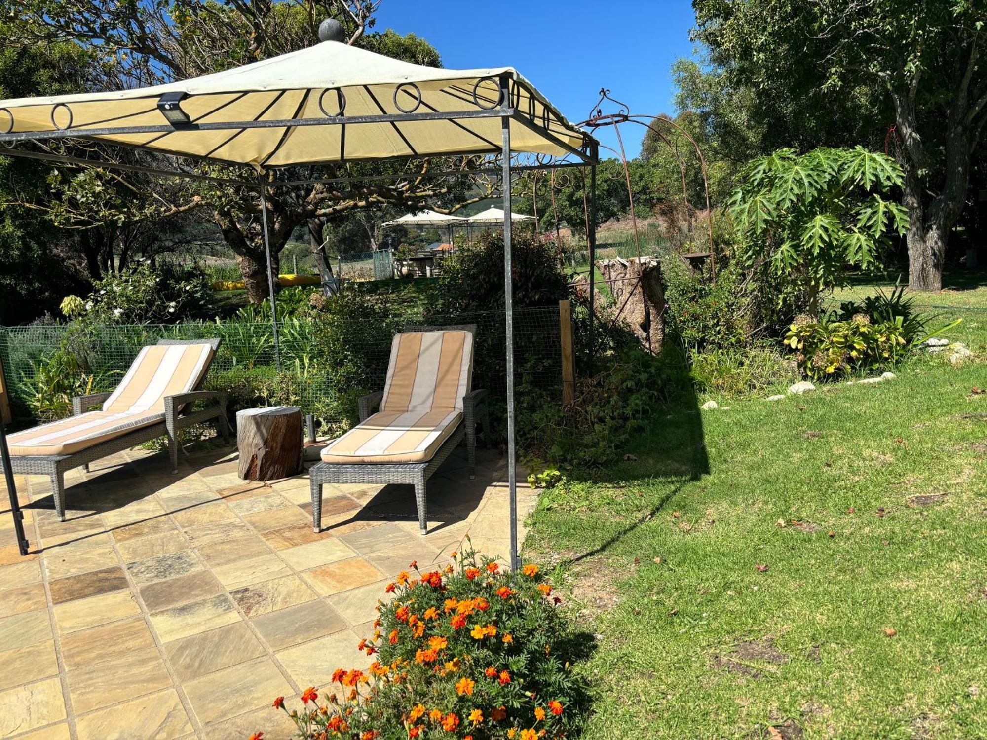 In The Vine Country Manor Guesthouse Stellenbosch Exterior foto