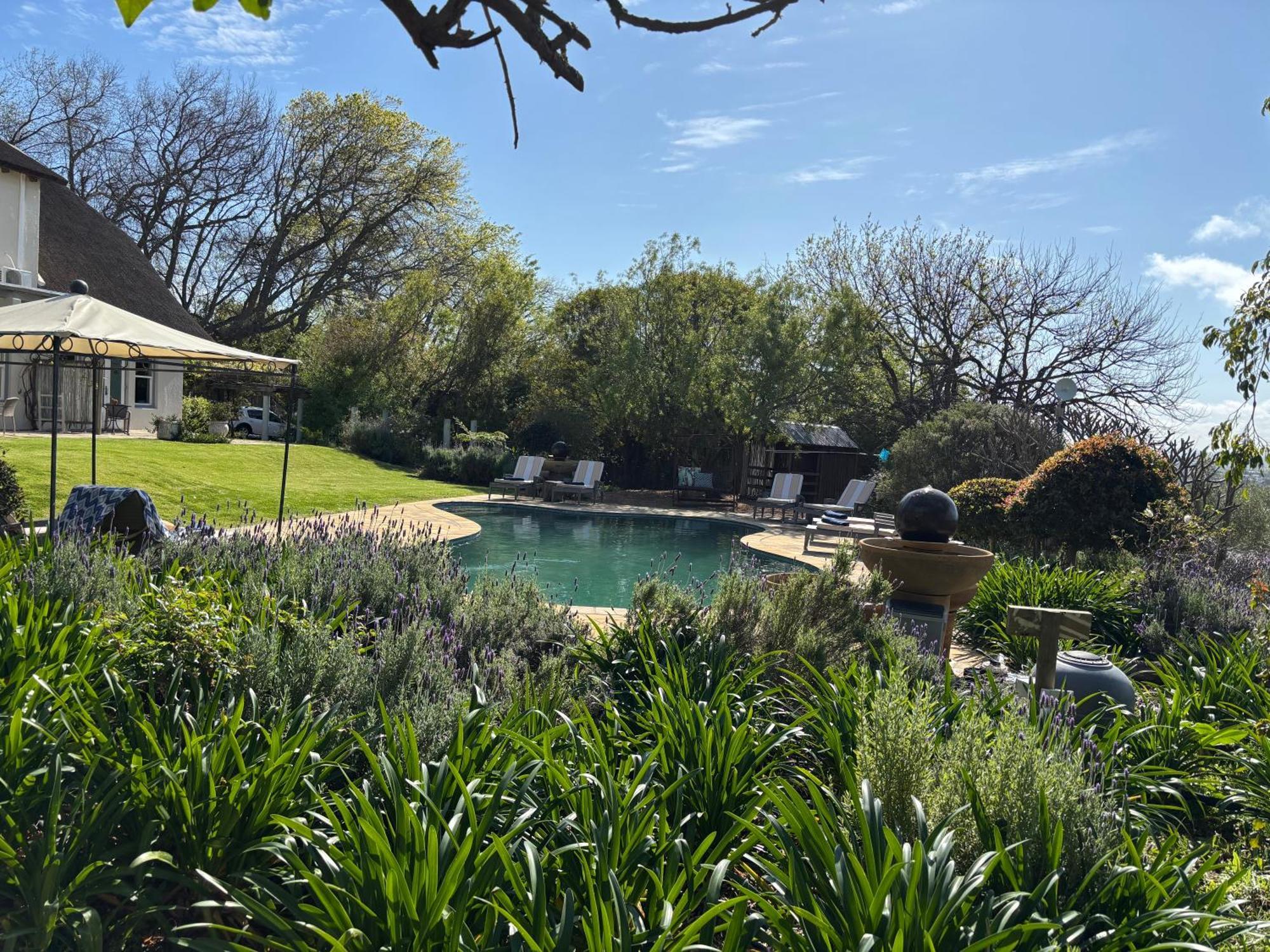 In The Vine Country Manor Guesthouse Stellenbosch Exterior foto